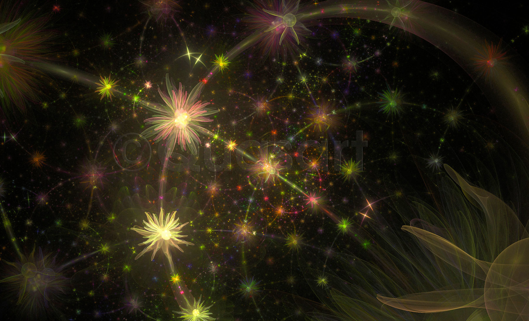 Photo A-Dream-of-Flowers-cw