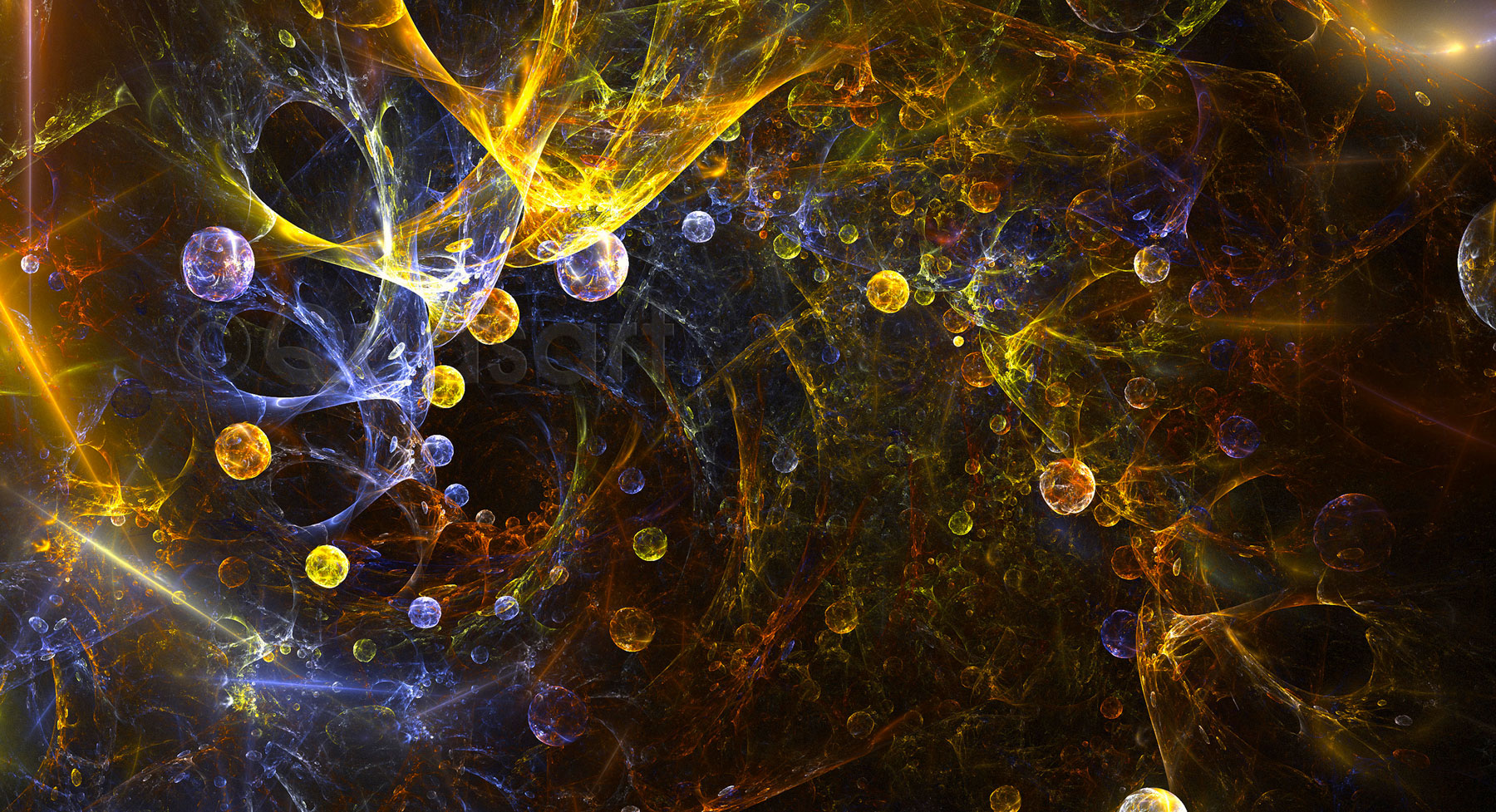 Photo The-Gastropod-cw